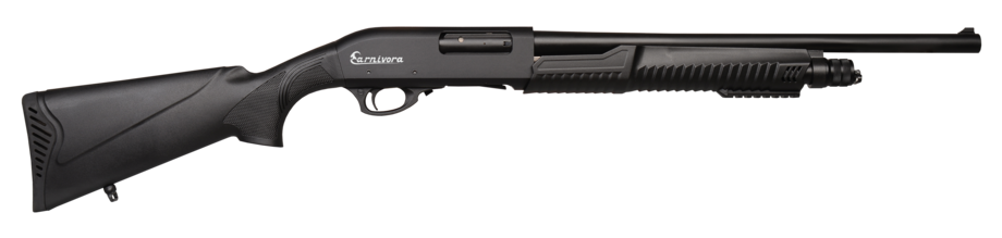 Image of the rifle that has model AC-P401